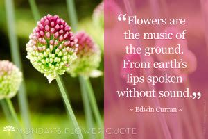 Flowers are the Music | Flower Quote | Floating Petals