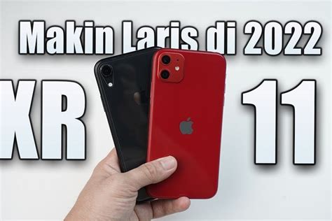 iPhone XR - affordable price, small and modern design and honest camera quality suitable for ...