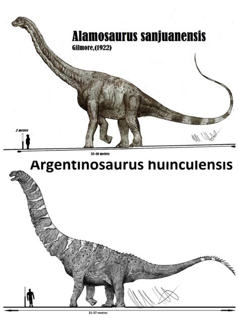 Alamosaurus vs Argentinosaurus | Fandom