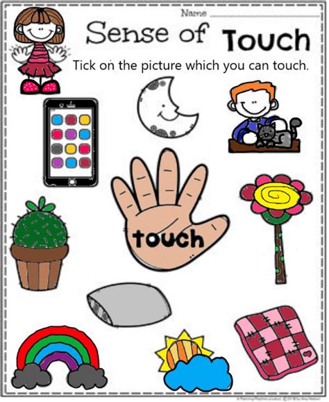 Senses Touch Worksheets - WorksheetsCity