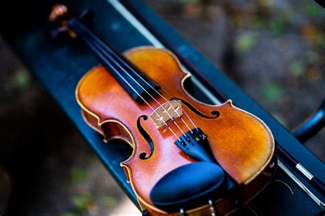 Best Violin Strings: Reviews & Buying Guide | FiddlersGuide