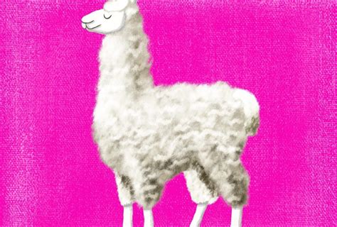 Fluffy Llama | Skillshare Student Project