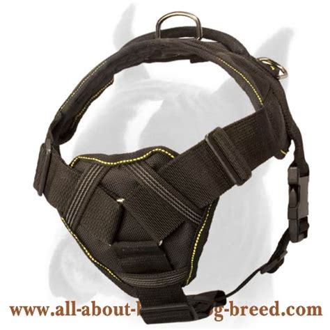 Heavy duty Nylon All-weather Harness for Boxer [H12##1035 Nylon Harness with chest plate ...