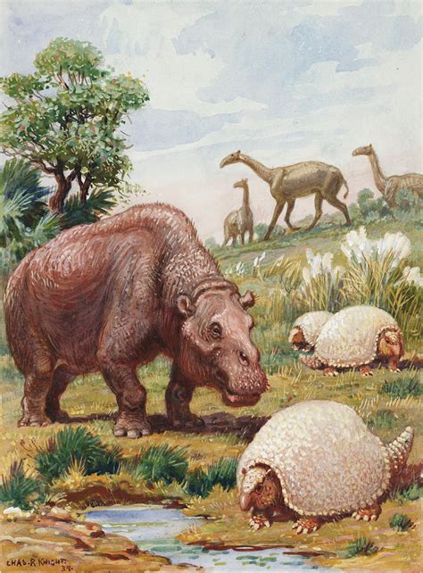 The Toxodon, Glyptodon Photograph by Charles R. Knight