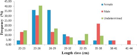 Size structure of the studied species of Mormyridae in the Upper Sanaga ...