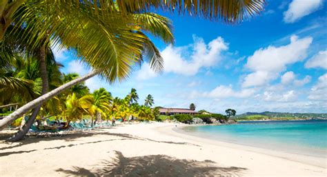 Into the Blue: the Best Snorkel Sites in the U.S. Virgin Islands