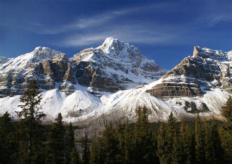 The Best Crowfoot Glacier Tours & Tickets 2020 - Banff | Viator