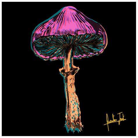 PSYCHEDELIC MUSHROOM :: Behance