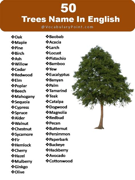 List of Tree Names in 2023 | Fruit bearing trees, Dogwood trees, Tree