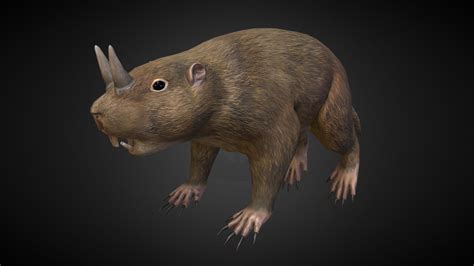 Horned Gopher Ceratogaulus - 3D model by shearaell [b517883] - Sketchfab