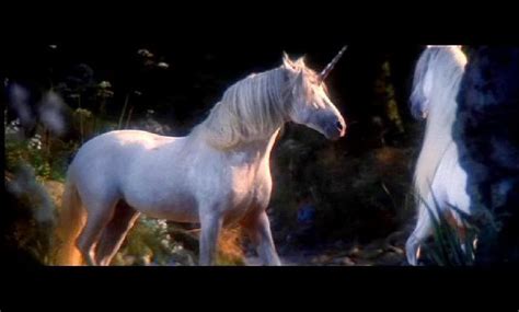 Unicorns from the film Legend | Unicornio, Sagrado