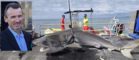 Spearfisherman killed in shark attack in New Caledonia