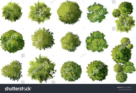 110,890 Plan Tree Images, Stock Photos & Vectors | Shutterstock