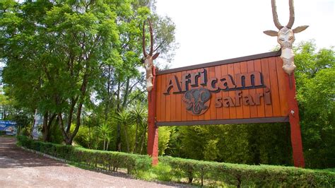 Africam Safari in Puebla, Puebla | Expedia