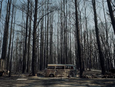 Black Saturday Bushfires | Rapid Environmental Response Unit