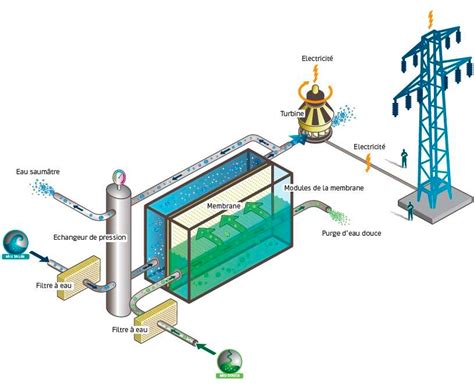 Sustainable development: Osmotic energy promises a bright future - ABC ...