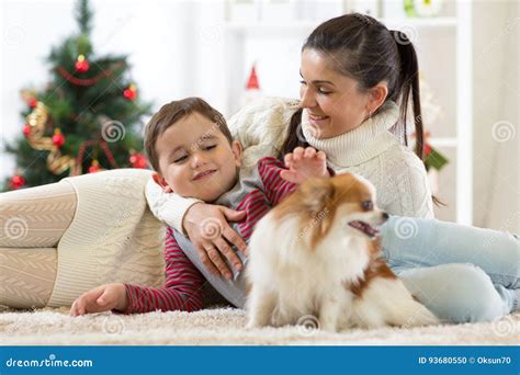 Family with Dog at Christmas Tree Stock Photo - Image of december, gift ...