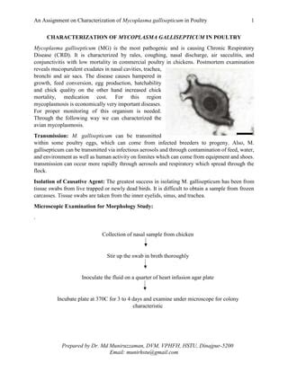 CHARACTERIZATION OF MYCOPLASMA GALLISEPTICUM IN POULTRY | PDF