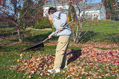 Rake the Leaves | Easy Ways Kids Can Lend a Hand | POPSUGAR Family Photo 5