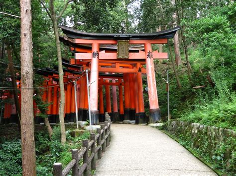 Torii Gate to the Sacred Forest, Kyoto | Sacred places, Torii gate, Where to go