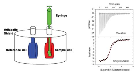 Isothermal Titration Calorimetry