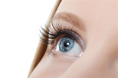 Female eye with long eyelashes close-up - Order Careprost Online for Longer Eyelashes at ...