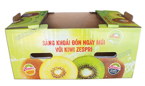 Kiwi Fruit Packaging Boxes | Binh Minh Packaging