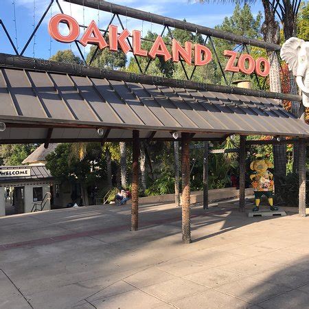 Oakland Zoo - 2019 All You Need to Know BEFORE You Go (with Photos ...