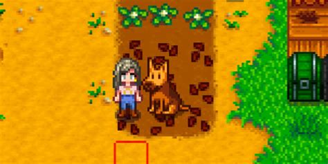 Stardew Valley: Every Animal, Ranked - kalzen.com