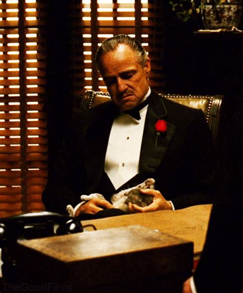 marlon brando the godfather gif | WiffleGif