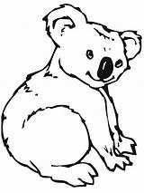 Free Printable Koala Coloring Pages For Kids sketch template