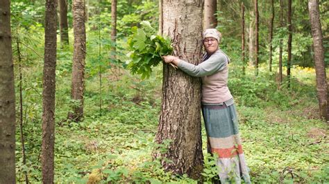 Estonia’s ‘holy forests’ threatened by demand for biofuels