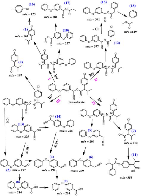 Proposed fenvalerate photodegradation mechanism in CH3CN | Download Scientific Diagram