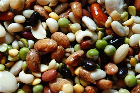 SEO Title Metadata: Introducing 6 Nutritious Beans, Legumes & Lentils ...