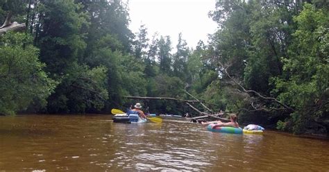 Love to Live in Pensacola, Florida~: Touring Blackwater River State Park~