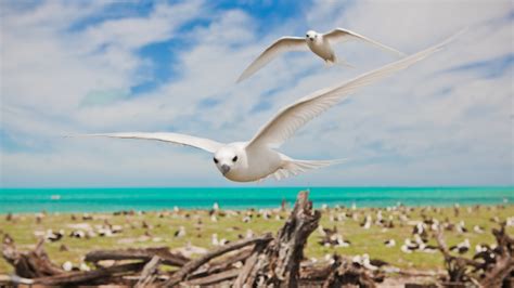 Papahānaumokuākea Marine National Monument (Hawaiian Islands National Wildlife Refuge)