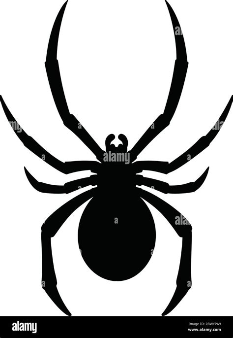 Black Widow Silhouette- An Illustration of a Black Widow Spider Silhouette Stock Vector Image ...