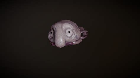 Blobfish animated lowpoly game asset - Buy Royalty Free 3D model by Theon [5a016de] - Sketchfab ...