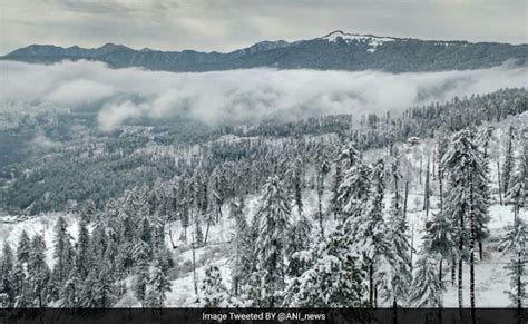 Intermittent Snowfall Follows Bright Sunlight In Shimla