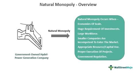 Natural Monopoly - Definition, Graph, Examples, Characteristics