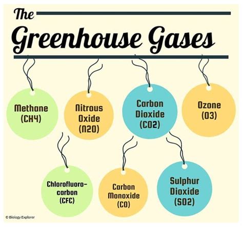 Sustainability | Free Full-Text | A Systematic Review on Carbon Dioxide (CO2) Emission ...