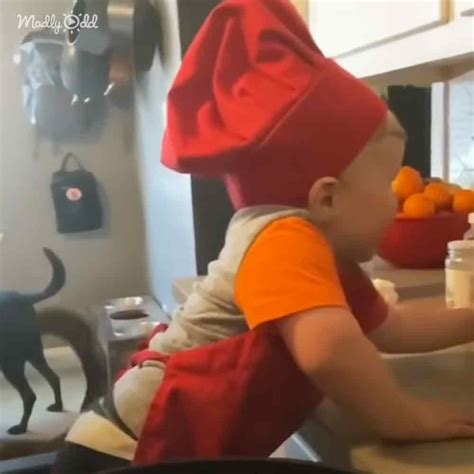 Cutest baby chef goes viral with his cooking videos – Madly Odd!