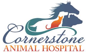 Animal Hospital in Alto, GA | Cornerstone Animal Hospital