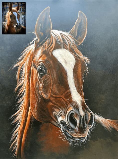 Acrylic horse portrait - Bobbys Hand Drawn Portraits.