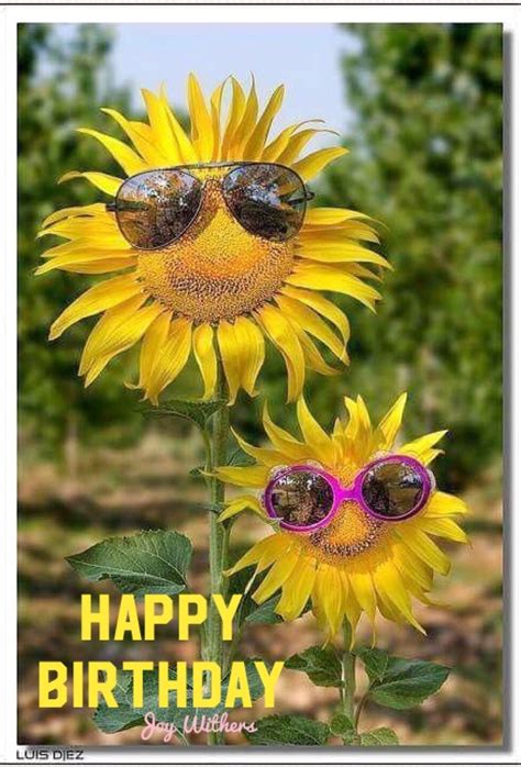 Pin by Joy Withers on HaPpY Birthday and sayings | Sunflower pictures ...