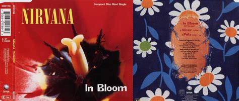 Nirvana - Singles Box - In Bloom [Single] | FULL LP DOWNLOAD