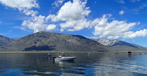 Crowley Lake Fly Fishing: Hotspots