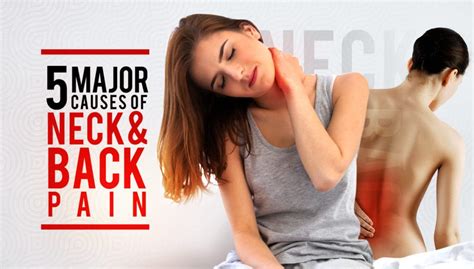 5 Major Causes of Neck and Back Pain | Summit Sports Chiropractic and ...