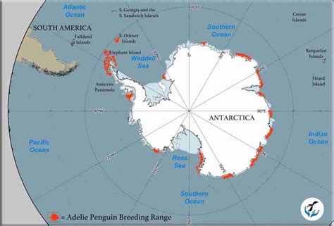Adelie Penguin range map | Penguins International