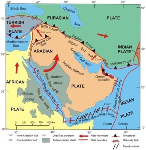 Movements of the Arabian Plate - SGS